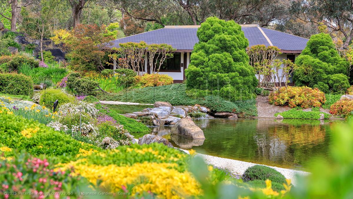 Peter Bellingham Photography Japanese Garden - Cowra